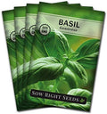 Sow Right Seeds - Genovese Sweet Basil Seed for Planting an Herb Garden 4pk by SowRightSeeds