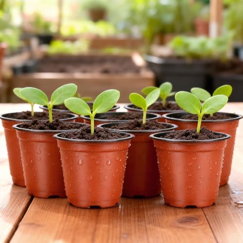 KINGLAKE 100 Pcs 4" Plastic Plants Nursery Pot/Pots Seedlings Flower Plant Container Seed Starting Pots,4 Inch,Red (Pack of 4) - Image 4