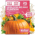 25 Big Max Pumpkin Heirloom Vegetable Seeds for Planting, Cucurbita Pepo by KVITER