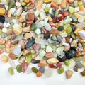 FANTIAN 10 lbs Small Succulent Rocks, 3/8 Inch Colorful Polished Pebbles for Indoor Plants. Decorative Rocks for Plants Indoor, Vases, Planters Aquarium and Outdoor Landscaping Garden by FANTIAN-GardeningMakesLifeBetter