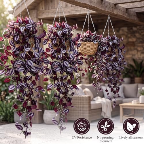 Daifunli 12 Pcs Halloween Artificial Hanging Plants, Purple Eyebrow - Image 5