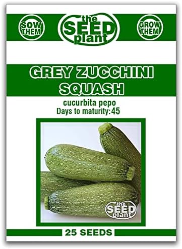 Grey Zucchini Squash Seeds - 25 Seeds Non-GMO by The+Seed+Plant