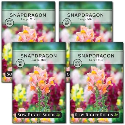 Sow Right Seeds - Large Mix Snapdragon Seed for Planting Flower Garden 4pk by SowRightSeeds