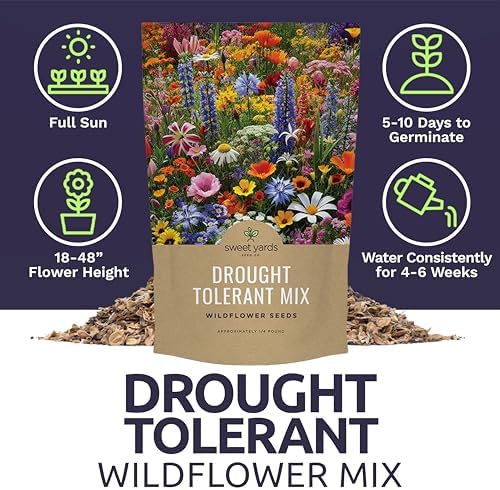 Drought Tolerant Wildflowers Mix – Bulk Quarter Pound Bag – Over 30,000 Open Pollinated Non-GMO Seeds – 21 Different Dryland Species - Image 6