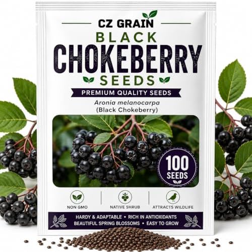 Black Chokeberry Seeds for Planting Native Shrub 100 Premium Seeds by CZGrain