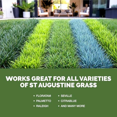 St Augustine Grass Fertilizer, Liquid Lawn Food for Thicker Growth, 8 oz - Image 5
