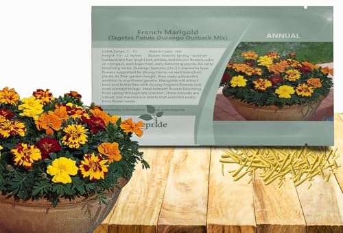 Outsidepride Durango Outback Mix French Marigold Seeds - 250 Pcs Annual, Compact, Heat & Drought Tolerant Flower Seeds for Planting w/Anemone Type Bicolor Blooms, Ideal for Vibrant Pollinator Gardens by Outsidepride