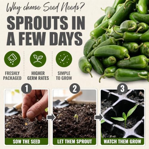Seed Needs Jalapeño M Hot Pepper Seeds to Plant Vegetables - 5 Packs - Image 5