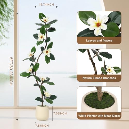 IDEALHOUSE 5ft Artificial Magnolia Tree, Faux Rubber Plant Floor Plant in White Planter, with 7 Pcs Magnolia Flowers for Home Decor for Home Office Living Room Decor - Image 2