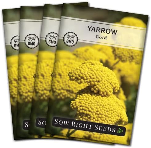 Sow Right Seeds - Gold Yarrow Seed for Planting a Perennial Herb Garden 4pk by SowRightSeeds