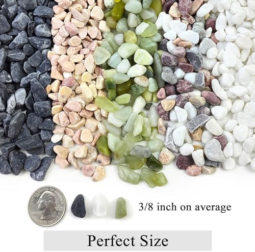 FANTIAN 5 lbs White Pea Gravel, 3/8 Inch Pebble Rocks for Indoor Plants - Image 2