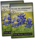 Sow Right Seeds - Texas Bluebonnet Seed for Planting Wildflower Garden 2pk by SowRightSeeds