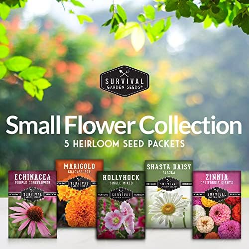 Flower Seeds Variety Pack for Planting – Annual & Perennial - Image 2