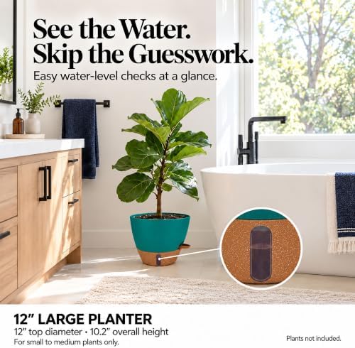 8/10/12 Inch Self Watering Pots for Indoor/Outdoor Plants - Image 5