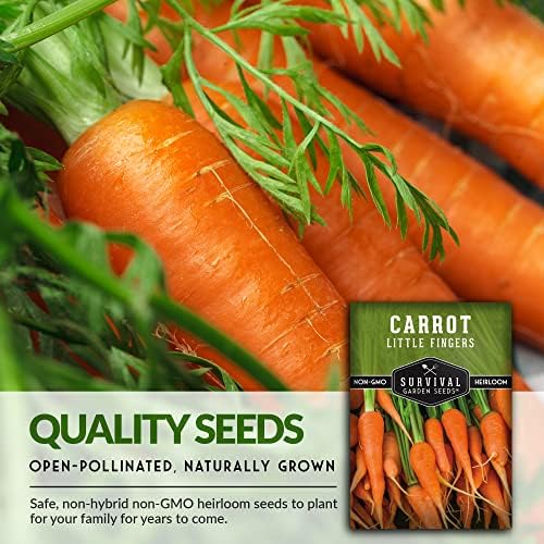 Little Finger Carrot Seeds for Planting – Survival Garden Seeds (5 Pack) - Image 4