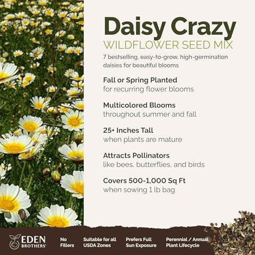Eden Brothers Daisy Crazy Flower Mixed Seeds for Planting, 1 lb, 480,000+ Seeds with Creeping, Painted, Yellow Daisy | Attracts Pollinators, Plant in Spring or Fall, Zones 3, 4, 5, 6, 7, 8, 9, 10 - Image 2