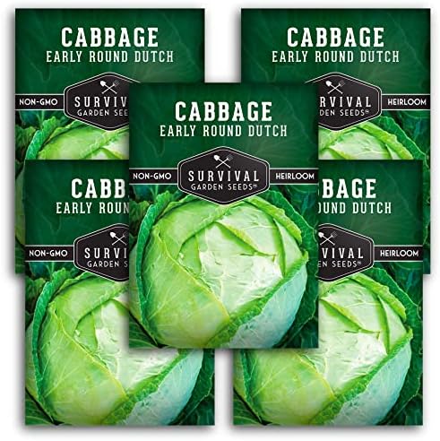 Early Round Dutch Cabbage Seeds - Survival Garden Seeds (5 Packs) by SurvivalGardenSeeds