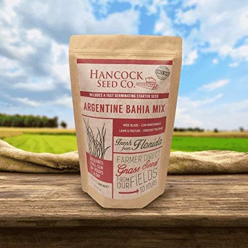 Hancock's Argentine Bahia Fall & Winter Grass Seed Mix - 10 lbs. - Image 4