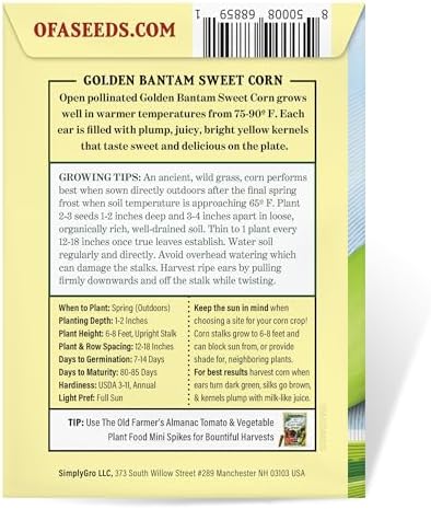 The Old Farmer's Almanac Heirloom Sweet Corn Seeds (Golden Bantam) - Approx 75 Seeds - Non-GMO, Open Pollinated, USA Origin - Image 4