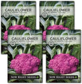Sow Right Seeds - Di Sicilia Violetto Cauliflower Seed for Planting 4pk by SowRightSeeds