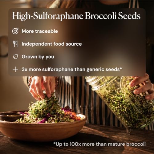 Jar Sprouting Kit with 8oz Broccoli Sprout Seeds - Image 6