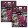 Red Amaranth Seeds for Planting - Survival Garden Seeds (2 Packs) by SurvivalGardenSeeds