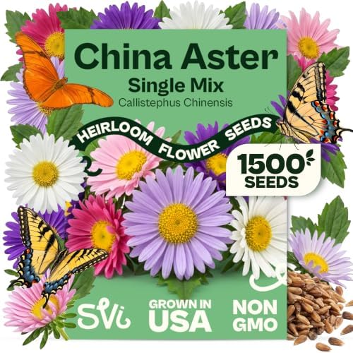 SVI 1500 Single Mix China Aster Heirloom Seeds, Callistephus chinensis by SVI
