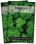 Sow Right Seeds - Curled Parsley Seed for Planting Your Own Herb Garden 2pk by SowRightSeeds