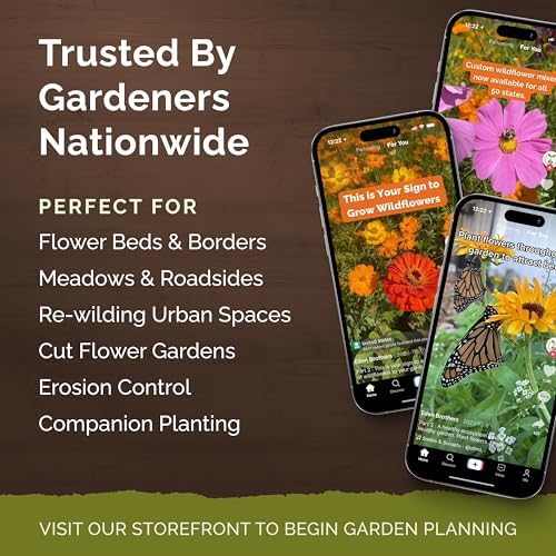 Eden Brothers Deer Resistant Wildflower Mixed Seeds for Planting, 1/4 lb - Image 5