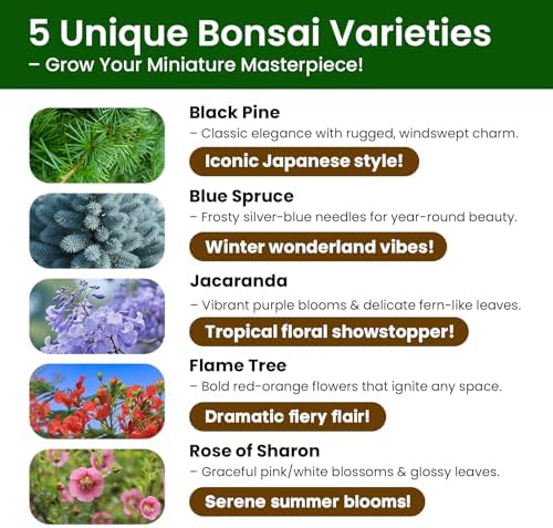 Bonsai Tree Kit for Beginners - 5 Unique Japanese Bonsai Seeds, DIY Indoor Gardening Crafts for Adults | Valentine's, Mother's Day & Birthday Gifts for Women and Men | Complete Starter Kit with Tools - Image 3