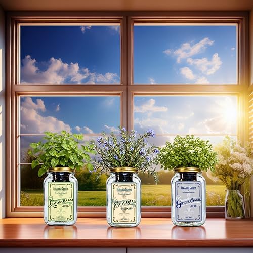 Chef’s Herb Garden Mason Jar Grow Kit (3 Pack) – Tuscan Blue Rosemary, Greek Basil & Lemon Balm – Indoor Hydroponic Herb Growing Kit – Windowsill Kitchen Herb Garden - Image 4