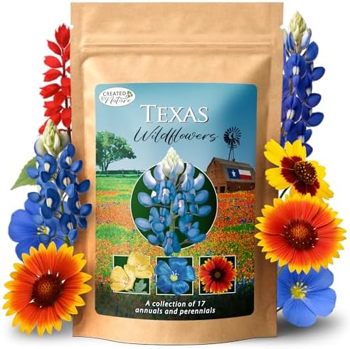 Texas Wildflower Seed Mix – Over 60,000 Flower Seeds, Covers 300 Sq Ft by CreatedByNature