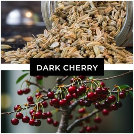 Dwarf Bonsai Black Cherry Fruit Tree Live Plant Seedling - Prunus serotina, Great for Home and Garden Yards Planting Dormant Seedling - Image 3