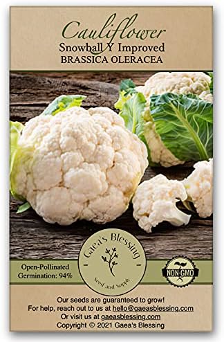 Gaea's Blessing Seeds - Cauliflower Seeds - Snowball Y Improved - Non-GMO Seeds with Easy to Follow Planting Instructions 93% Germination Rate by GaeasBlessing