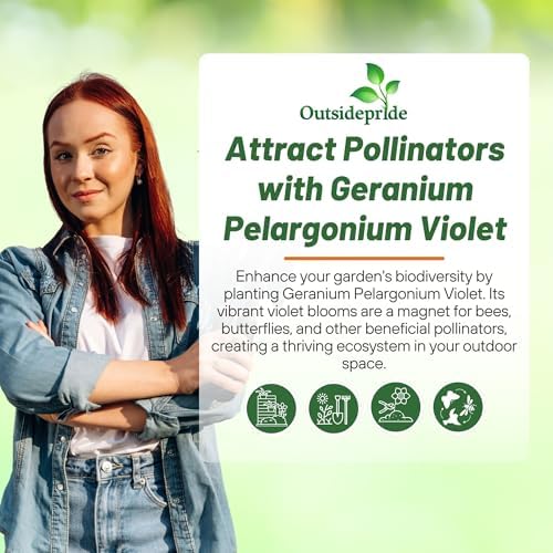 Outsidepride Violet Geranium Seeds for Planting - 50 Pcs Annual, Heat & Drought Tolerant Flower Seeds with Green Foliage & Violet Blooms for Pots, Borders & Lush Summer Garden Displays - Image 5