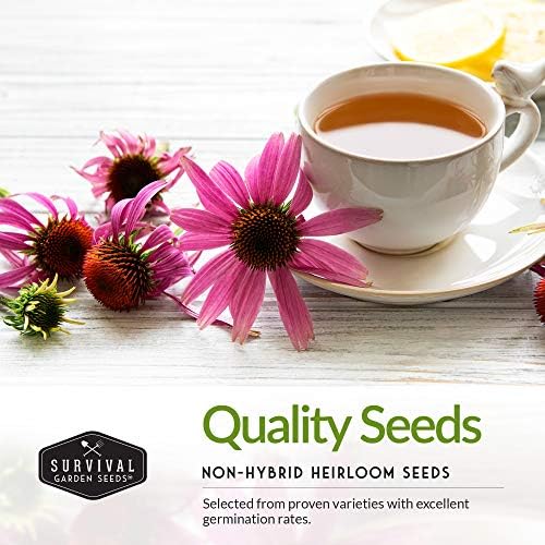 Flower Seeds Variety Pack for Planting – Annual & Perennial - Image 3