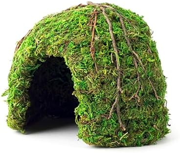 Galapagos (05366 Mossy Dome Hide, 6 in, Galápagos Green by Galapagos