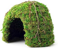 Galapagos (05366 Mossy Dome Hide, 6 in, Galápagos Green by Galapagos