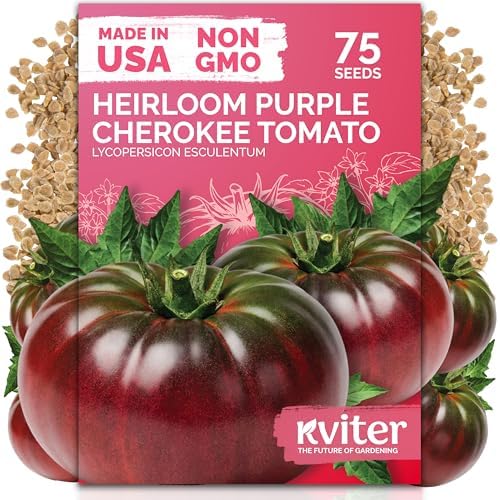 75 Cherokee Purple Tomato Heirloom Vegetable Seeds, Lycopersicon Esculentum by KVITER