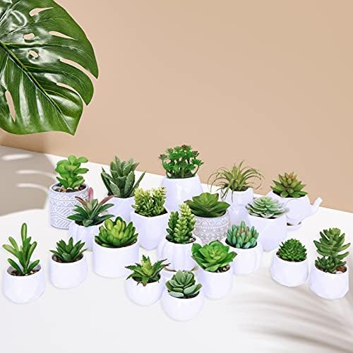 Winlyn 20 Pcs Assorted Artificial Succulents Plants Unpotted Small Green Cactus Echeveria Air Plant Picks Fake Succulents Bulk for Succulent Garden Wreath Floral Arrangement Indoor Outdoor Home Decor - Image 2
