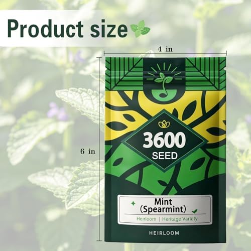 Mint Seeds for Planting, Heirloom Fragrant Culinary Herb Garden Seeds - Image 7