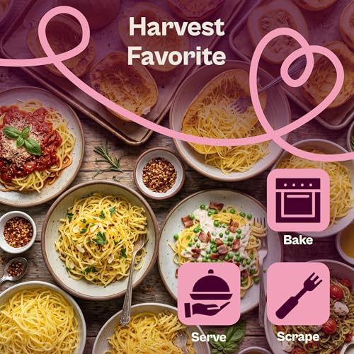 SVI 35 Winter Spaghetti Squash Seeds (Cucurbita Pepo) – Yellow Winter Squash Spaghetti Seed Packets, Long Storage – Heirloom Vegetable Seeds for Outdoor Vegetable Garden, Raised Beds, Peat Pots - Image 4