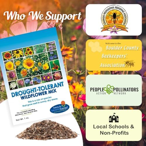 BBB Seed Drought Tolerant Wildflower Seeds Mix, Annual & Perennial, 1 oz - Image 6