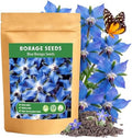LUOJIBIE Borage Seeds, 2,000+ Blue Borage Seeds for Planting Outdoor & Indoor, Flower Seeds Bulk for Garden, Non-GMO & Heirloom, Easy to Grow by LUOJIBIE