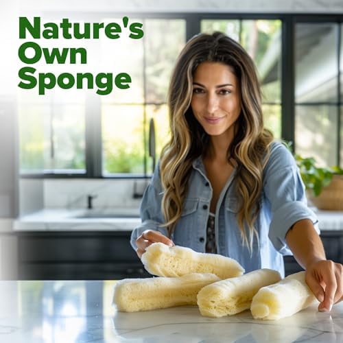 HOME GROWN Luffa Loofah Gourd Seeds, 80+ Seeds, Luffa aegyptiaca - Image 5