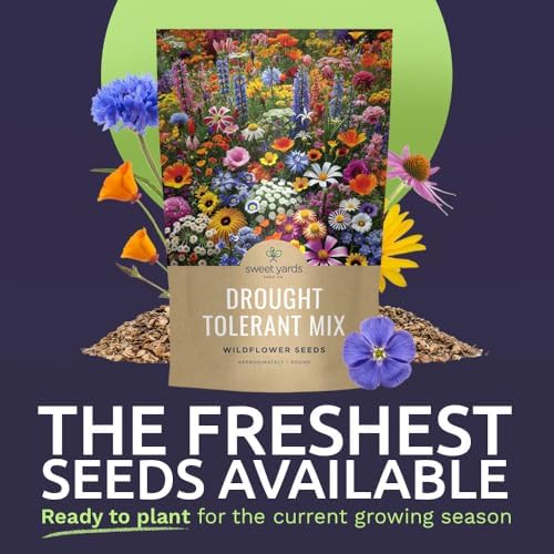 Drought Tolerant Wildflowers Mix – Bulk 1 Pound Bag – Over 120,000 Open Pollinated Non-GMO Seeds – 21 Different Dryland Species - Image 2