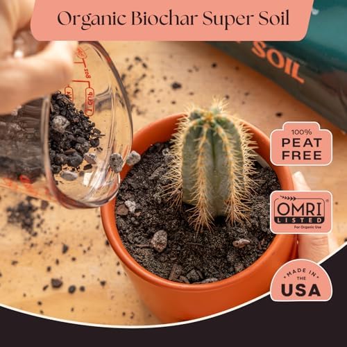 Rosy Soil Cactus & Succulent Potting Mix, 4 Quarts, Pack of 2 - Image 2