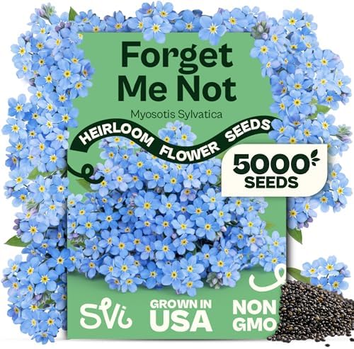 SVI 5000 Forget Me Not Seeds (Myosotis sylvatica) – Forget Me Not Flowers, Blue Wildflower Seed Packets Bulk – Heirloom Flower Seeds for Flower Garden, Outdoor Garden Borders & Ground Cover by SVI
