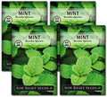 Sow Right Seeds - Mint Seed for Planting Outdoor Indoor Perennial Herb 4pk by SowRightSeeds