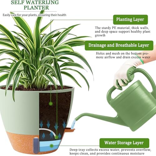 2 Pack 10 inch Plant Pots, Plastic Self Watering Planters - Image 3